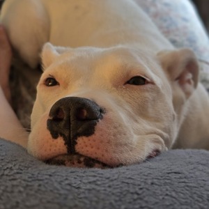 Team Page: Lupita's Fuzzitas